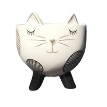 Load image into Gallery viewer, Spotted Cat Planter Pot