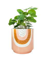 Load image into Gallery viewer, Pretty Pink Rainbow Planter