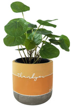 Load image into Gallery viewer, Thank You Planter
