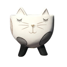 Load image into Gallery viewer, Spotted Cat Planter Pot
